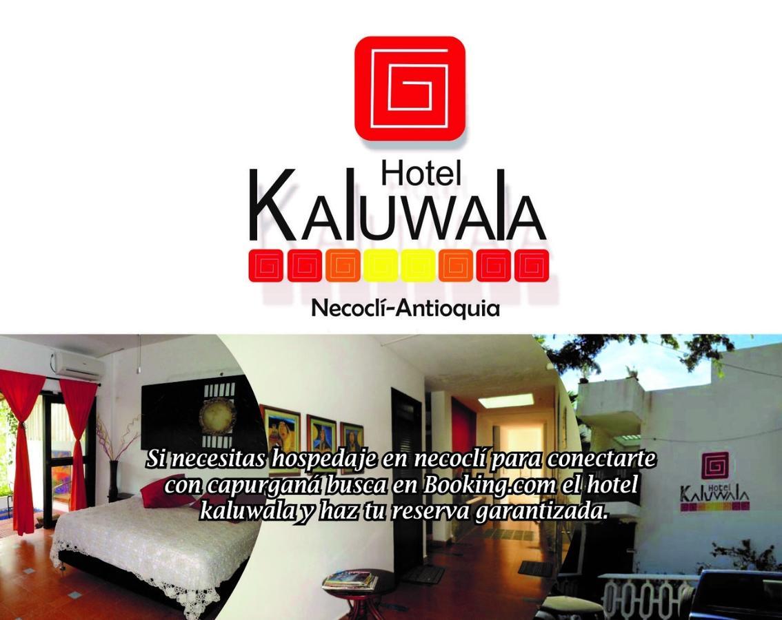 Hotel Katamaran Capurganá Extérieur photo